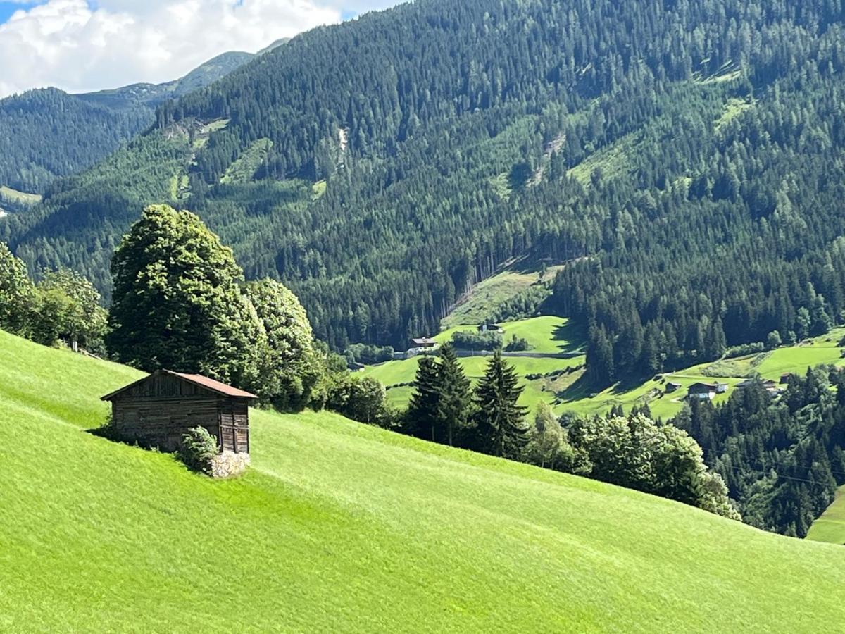 Landhaus Hoellwarth Zell am Ziller Dış mekan fotoğraf