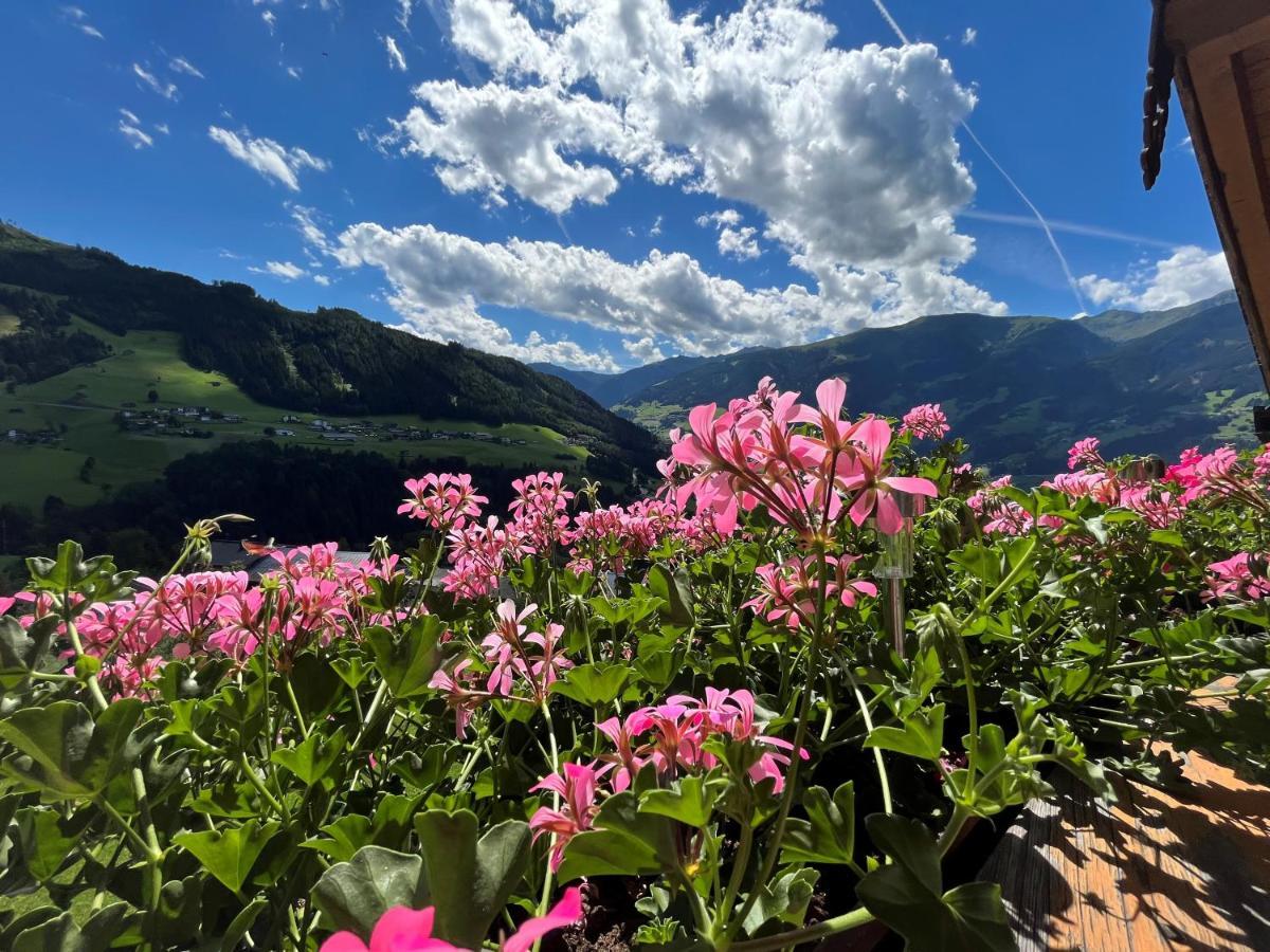 Landhaus Hoellwarth Zell am Ziller Dış mekan fotoğraf