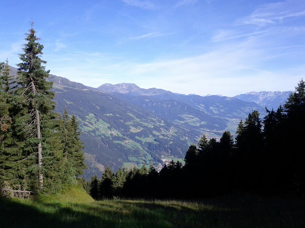 Landhaus Hoellwarth Zell am Ziller Oda fotoğraf