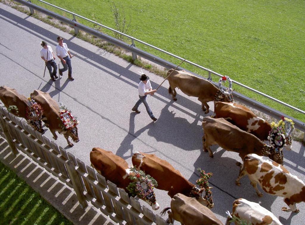 Landhaus Hoellwarth Zell am Ziller Dış mekan fotoğraf